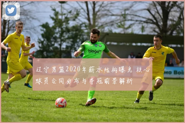 辽宁男篮2020年薪水结构曝光 核心球员合同分布与夺冠前景解析